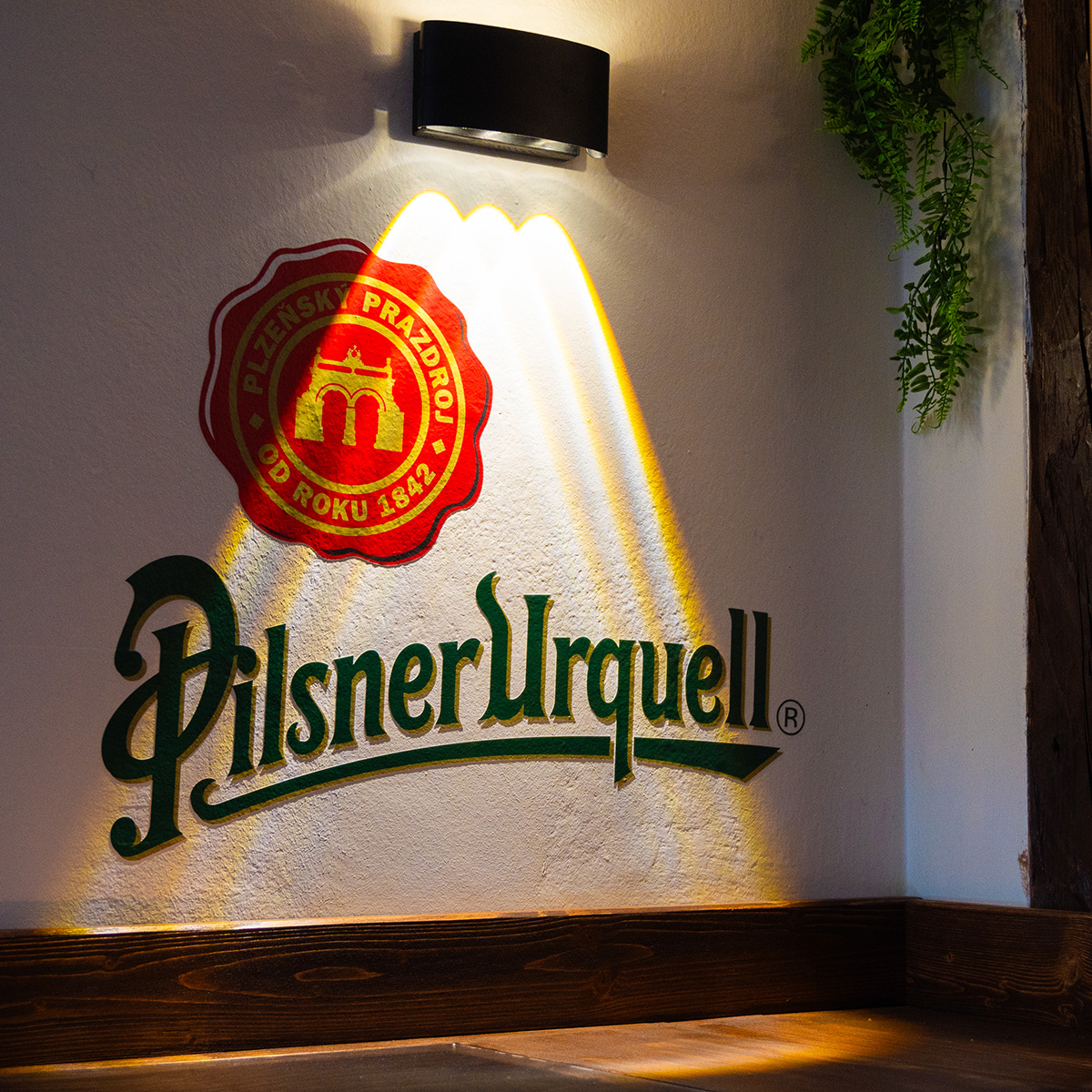 Decorazioni El Montuosa Club