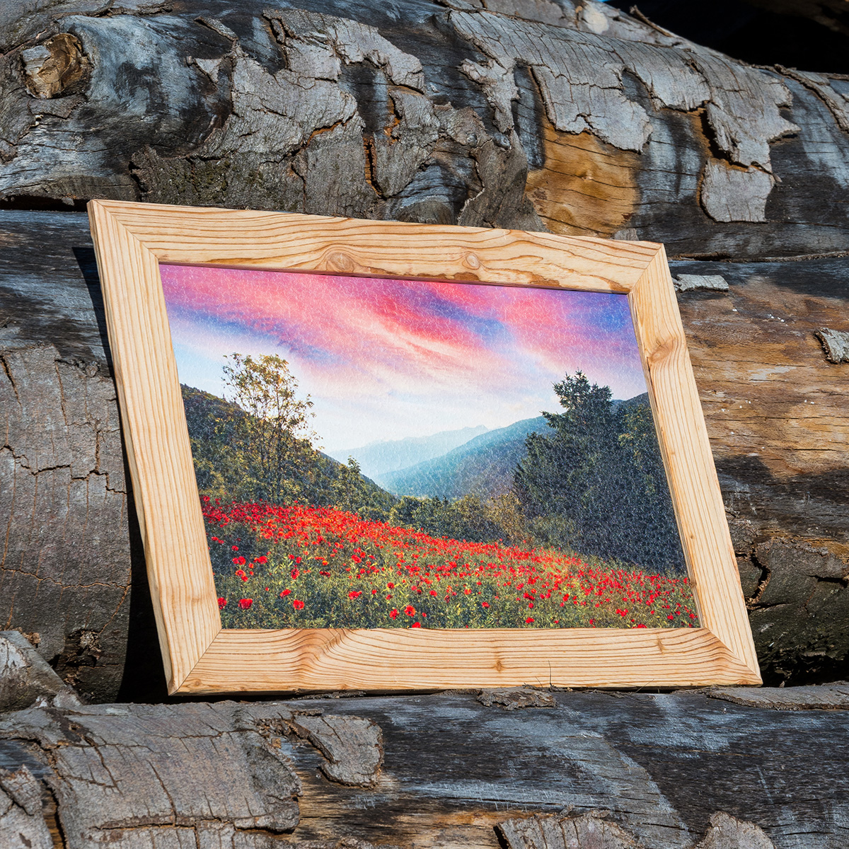 Quadro Stampa Diretta